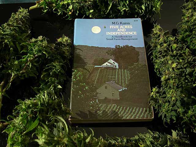 photo of book titled Five Acres And Independence surround by SouthEast Lights colas