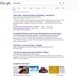 screenshot of Google search for incorrectly spelled michoacan