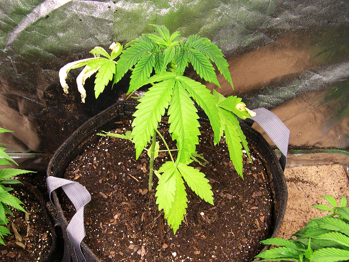 Image of Terminator Week 1 Inside