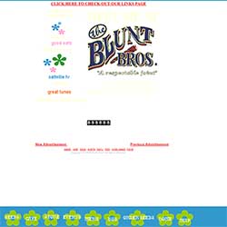 photo of Blunt Brothers website from 1999