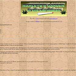 photo of MarleyB's 1996 website on lycaeum.com