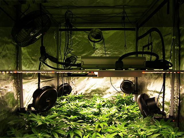 photo of four by eight production tent